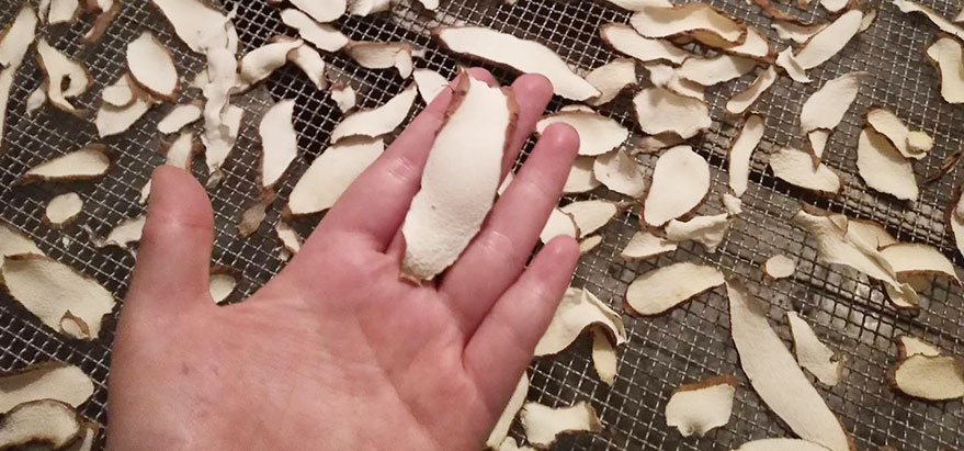 好色先生下载APP机设备